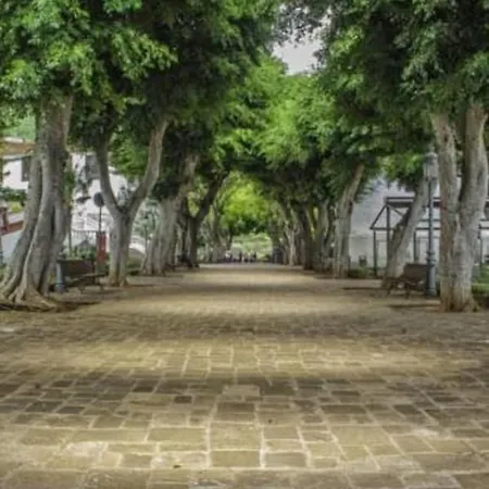 Camino Los Canarios * إيكود ذي لوس فينوس